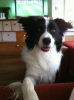/album/fotogallerij/img-20121018-wa0007-jpg/